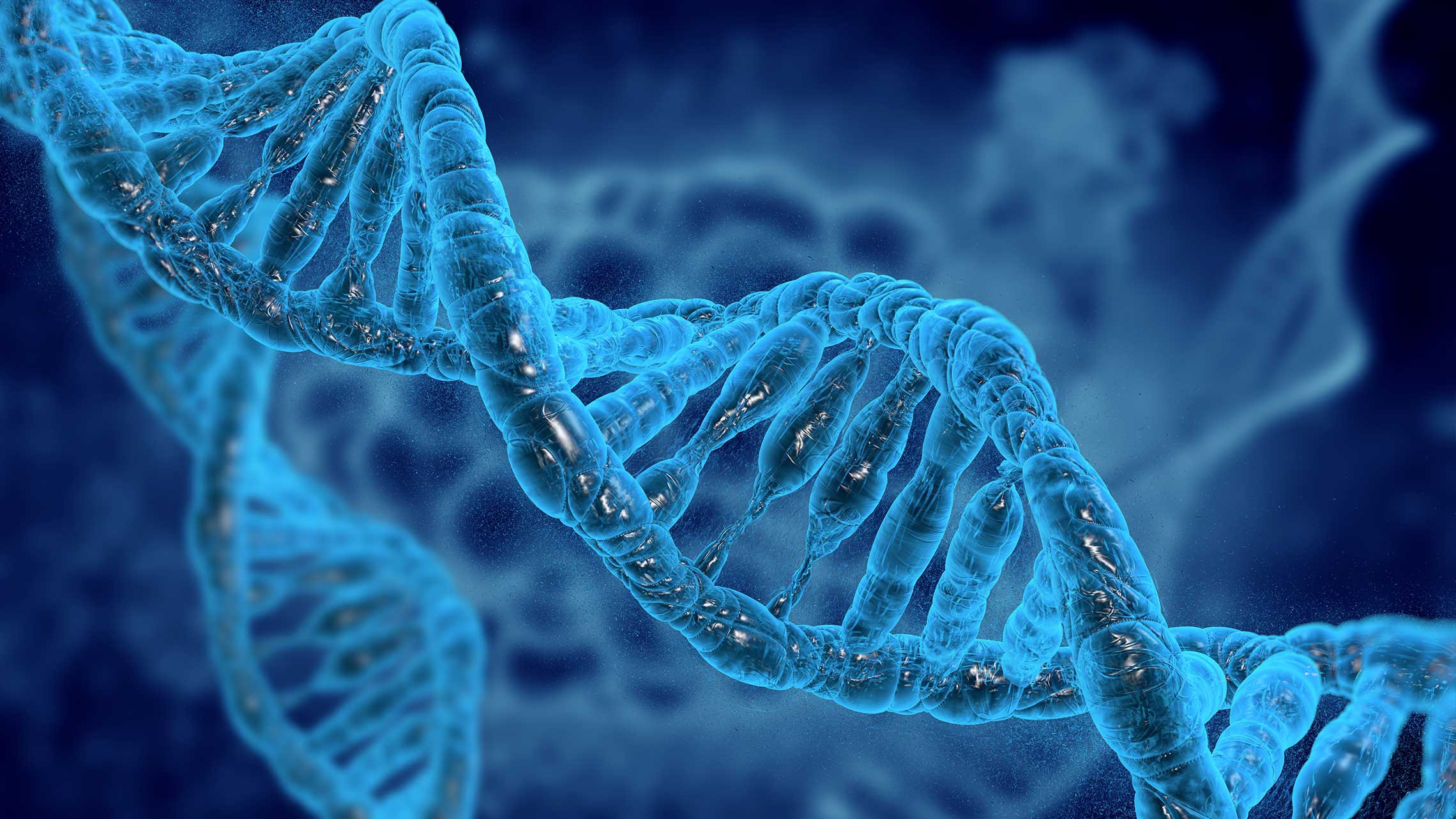 Science et technologie École des Deux-Rives - 2025 