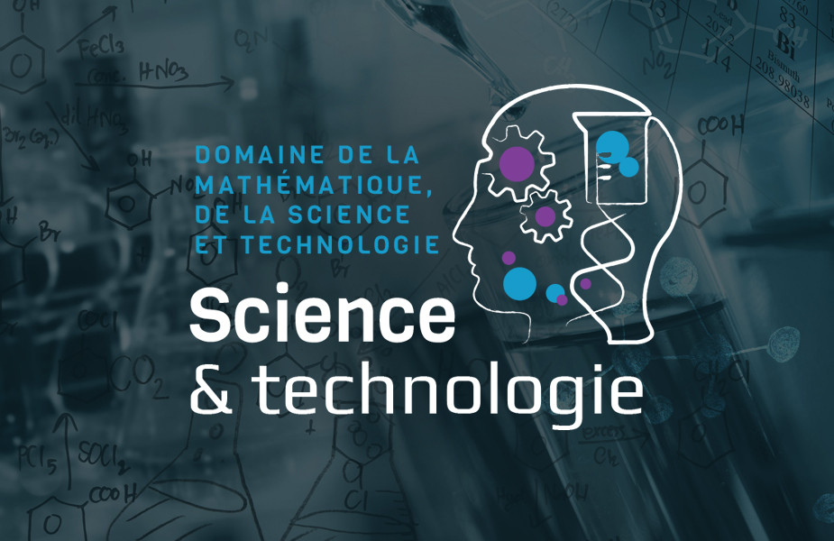 RÉCIT ST/STE  4e secondaire